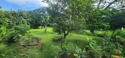 Seletar Garden (D28), Terrace #624793631